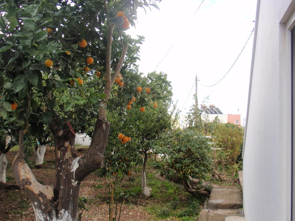 Antouan Matina Apartment Archangelos  Exterior photo