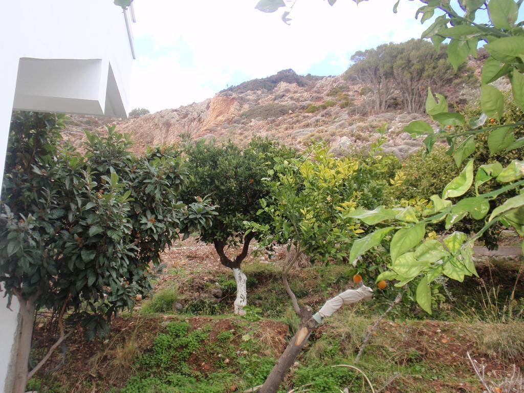 Antouan Matina Apartment Archangelos  Exterior photo
